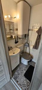 a small bathroom with a toilet and a sink at Balatomi Apartman in Balatonföldvár