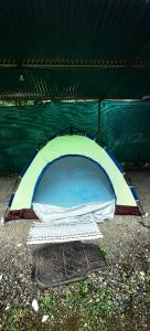 Foto dalla galleria di Glamping y Camping Zompopas Trails Costa Rica a Puerto Jiménez
