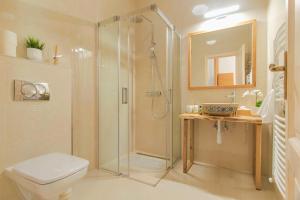a bathroom with a shower and a toilet and a sink at Bodrog Borműhely Vendégház in Bodrogkisfalud