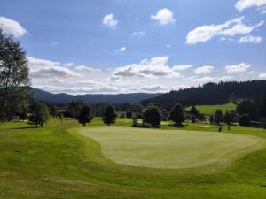 a golf course with a green field and mountains in the background at Schwarzwald Wellnesshotel SAIGERHÖH I Spa Golf & Wandern über dem Titisee in Lenzkirch +73 photos