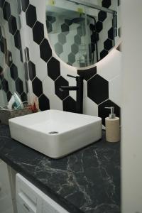 a bathroom with a white sink and a mirror at Le Vallès in Courcouronnes +7 photos