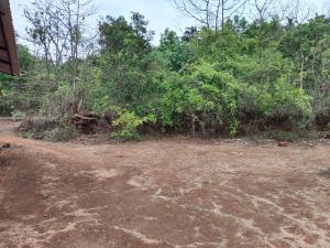 a dirt field next to a forest with trees at Pratishant Village Home Stay & Agro Tourism in Jāmb +1 photo