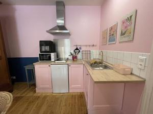 a pink kitchen with a sink and a microwave at Studio cocon centre historique in Dinan +26 photos