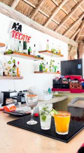 Club Cenotes Tulum的酒水