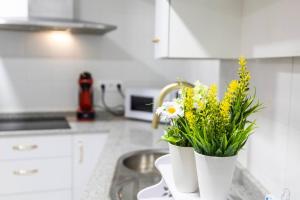 Kuchyňa alebo kuchynka v ubytovaní SH Rujacor Mare Apartamento chic en la Viña