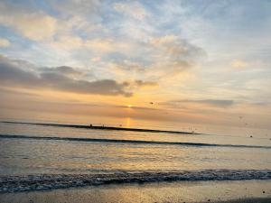 Naturlandskabet i nærheden af bed and breakfast-stedet