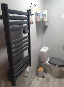 a bathroom with a toilet with a black door at Résidence La Rose in La Bourboule +47 photos