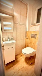 a small bathroom with a toilet and a sink at Pokój Słoneczna Idylla k Karpacza SAUNA JACUZZI in Podgórzyn