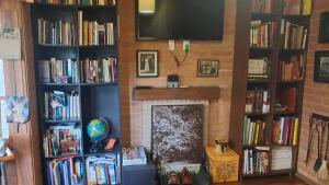 a fireplace in a living room with book shelves filled with books at CASA EM MONTE VERDE CHARME E CONFORTO in Monte Verde