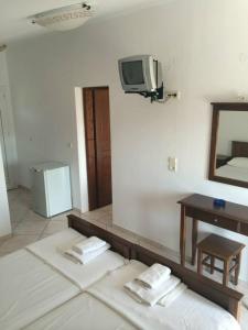 TV a/nebo společenská místnost v ubytování Gogas Palace