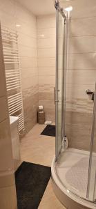 a bathroom with a shower and a sink and a toilet at Poku bajka in Kranjska Gora +22 photos