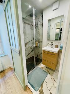 een badkamer met een douche en een wastafel bij Studio L'Émeraude in Tournon-sur-Rhône
