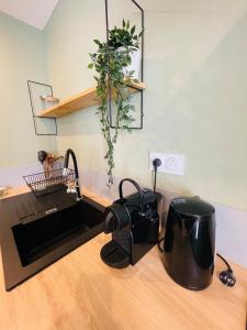 een keuken met een gootsteen met een plant aan de muur bij Studio L'Émeraude in Tournon-sur-Rhône +8 foto's