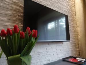 Televízia a/alebo spoločenská miestnosť v ubytovaní Studio Plac Bankowy