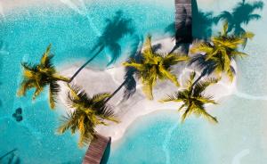 an aerial view of a tropical island with palm trees at Choisy Les Bains by LOV Mauritius in Mont Choisy