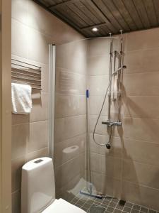 a bathroom with a toilet and a shower at Ruka chalets 2 in Kuusamo