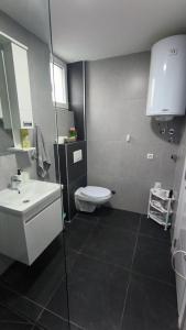 a bathroom with a white toilet and a sink at Duša apartman in Banja Koviljača +2 photos