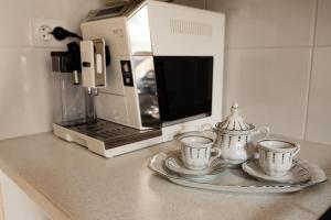 Kuchyň nebo kuchyňský kout v ubytování Apartament Zielony Motyl + 4 fotografie