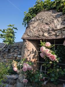 a stone building with pink roses on it at Les Gites du Mont Ventoux in Bédoin