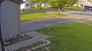 Η γειτονιά γύρω από ή μία γειτονιά κοντά σε αυτή η παραθεριστική κατοικία