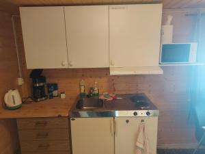 Kuchyň nebo kuchyňský kout v ubytování Vaterfjord Brygge + 22 fotografií