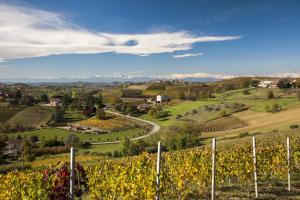 a view of a vineyard from a hill with vines at Villa Bricco Astiani in Montegrosso dʼAsti