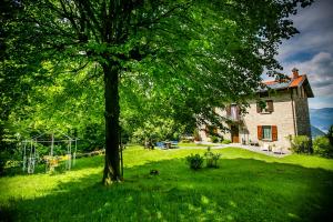 托尔诺Piazzaga565的房子前面草上的一棵树