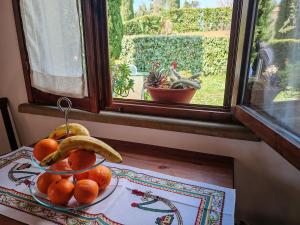 a bowl of fruit on a table next to a window at La casa di Arturo Pet friendly Apartments in Riparbella