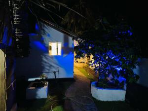Vonkajšia záhrada v ubytovaní Trinco Chill Zone Hostel