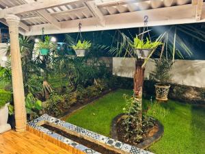 Vonkajšia záhrada v ubytovaní Trinco Chill Zone Hostel