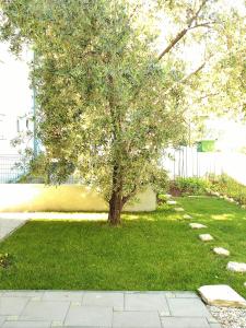 Vonkajšia záhrada v ubytovaní Apartments Doda