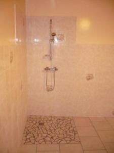 a shower in a bathroom with a stone floor at Gite de la croix in Apinac +7 photos
