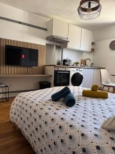 ブールジュにあるCharmant Appartement au Coeur de Bourges 24のベッドルーム1室(ベッド1台付)、キッチン