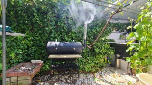 an outdoor grill with a suitcase in a garden at Villas de Nazare in Maceira +37 photos