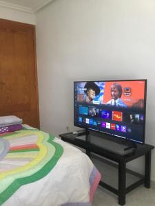 TV a/nebo společenská místnost v ubytování Dama d'Elx