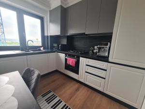 Kuchyň nebo kuchyňský kout v ubytování Apartament 2 camere Park Residence