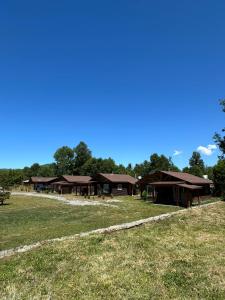 un grupo de edificios marrones en un campo en Petruleufu, en Pucón