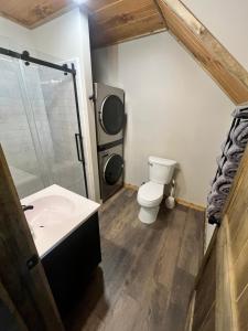 a bathroom with a toilet and a shower and a sink at Sage Hill Escape in Londonderry +33 photos