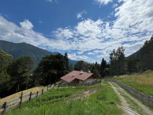a small house on a hill in a field at Mountain Chalet in Strembo