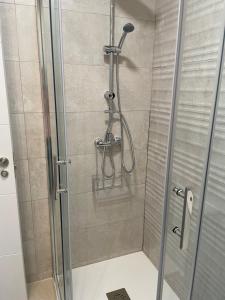 a shower in a bathroom with a glass door at Casa Pedregalejo in Málaga +30 photos