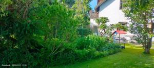 a yard with a house and some bushes and trees at Pension Kaden in Dresden