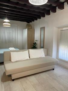 a couch in a living room with two pillows at Apartamento Jerez Centro San Miguel in Jerez de la Frontera