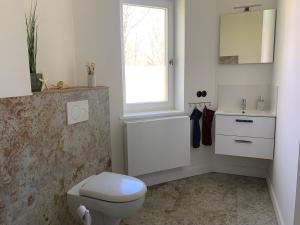 a bathroom with a toilet and a sink and a window at NEU! Vogtland Herberge Auerbach 3 Gäste und Baby in Auerbach +11 photos