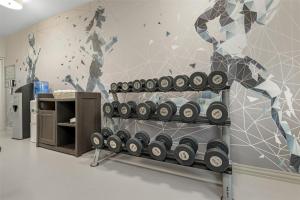 Fitness centrum a/nebo fitness zařízení v ubytování Best Western Brockport Inn & Suites