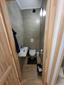 a small bathroom with a toilet and a sink at Levendula2 Apartman Bükkszentkereszt in Bükkszentkereszt +14 photos