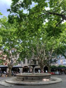 a fountain in front of a building with trees at La Picholine in Uzès +2 photos