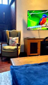 Telewizja i/lub zestaw kina domowego w obiekcie Cozy studio in Garachico of 100 m² with city view