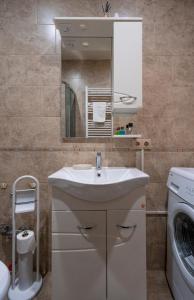 a bathroom with a sink and a washing machine at Luxury House in Tbilisi City
