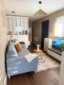 a living room with a blue couch and a tv at La maison de villenouvelle in Toulouse +4 photos