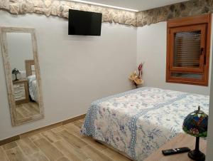 a bedroom with a bed and a mirror and a television at Casa Divina in Lago de Carucedo